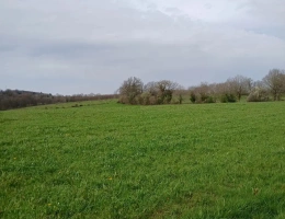 Vignette - Land - Un lot de 33 hectares de terras agricoles d'un seul tenant
