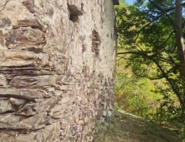 Vignette - Tourist - Grange à vendre  VIELLE AURE (65)