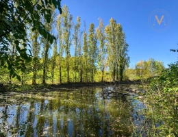 Vignette - Équestre - À vendre, belle propriété équestre avec maison en pierre, grange aménageable et lac privatif, sur 2,5 hectares de terrain, à deux pas de Courbiac