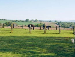Vignette - Équestre - Propriété équestre à vendre – 7 pièces – 2,8 hectares – LANDELLES-ET-COUPIGNY (14), Calvados, Normandie