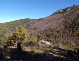 Vignette - Forestière - Typique Mas Catalan 105 ha sur le GR 20.