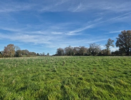 Vignette - Agricultural - Terrain à vendre  ORSENNES (36)