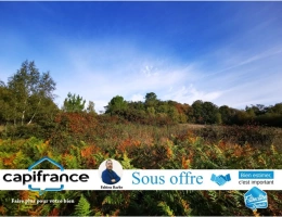 Vignette - Foncière - À vendre – Terrain de 20 000 m² avec bois, prairie et arbres fruitiers GUER (56)