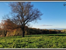 Vignette - Équestre - Propriété à vendre PONT DE VEYLE (01) 16,5 Hec,vue,maison 145 m²,ferme à rénover 170 m²,pigeonnier,hangar,équestre