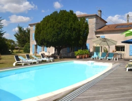 Vignette - Tourist - Character property