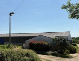 Vignette - Agricole - MORBIHAN-EXPLOITATION AGRICOLE LAITIERE BIO D’ENVIRON 160 HECTARES