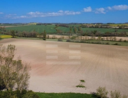 Vignette - Foncière - Terrain agricole