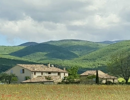 Vignette - Prestige - MAS RESTAURE  avec 19 Hectares  et autonome