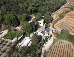 Vignette - Touristique - Propriété avec piscine, oliveraie et vignoble