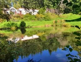 Vignette - Tourist - PROPERTY for sale: 20 rooms near REMIREMONT (88) on 2.4 hectares with a POND and SPRING