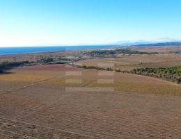 Vignette - Touristique - Propriété viticole