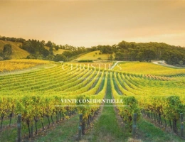 Vignette - Touristique - Belle maison de village avec gîte, grand jardin, cuisine d’été et piscine
