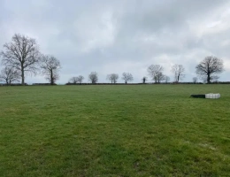 Vignette - Agricultural - For sale center France farm of 244 ha processing cheese and beef cattle