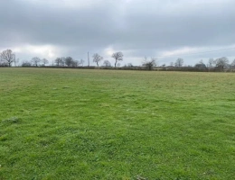 Vignette - Agricole - Exploitation agricole d'élevage de 104 hectares située dans le Cher (18)