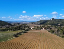 Vignette - Viticole - Propriété viticole