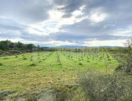 Vignette - Agricole - Terrain agricole