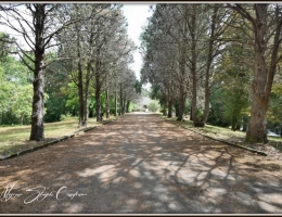 Vignette - Prestige - Propriete à vendre 8 pièces  de 350 m² environ à MIMIZAN (40) avec lac privatif, cadre exceptionnel