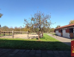 Vignette - Équestre - Propriété équestre d'exception 4 hectares
