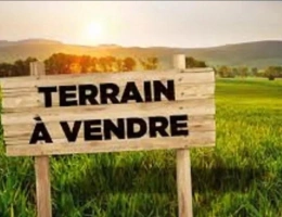 Vignette - Forestière - PROCHE PEYREHORADE ( Commune de Saint Cricq du Gave ) - TERRAINS BOISES - 3,9 ha