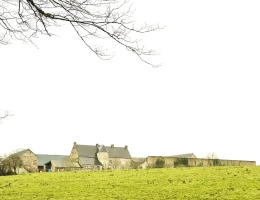 Vignette - Equestrian - RARE - CALVADOS – PROPRIETE AGRICOLE DE 100 HECTARES AVEC MAISON DE CARACTERE.