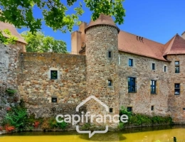 Vignette - Prestige - Château à vendre au coeur du bocage bourbonnais sur un parc de 1,5 Ha