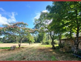 Vignette - Équestre - Propriété Equestre