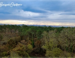 Vignette - Touristique - Propriete à vendre 0 pièces SAINT MARTIN DE HINX (40)