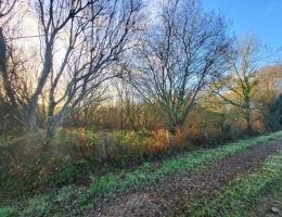 Vignette - Forestière - Terrain à vendre  TELGRUC SUR MER (29)