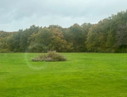 Vignette - Prestige - Propriété de charme à vendre proche de CHEVERNY (41)