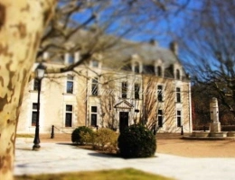 Vignette - Prestige - Propriete à vendre 50 pièces proche de AMBOISE (37)