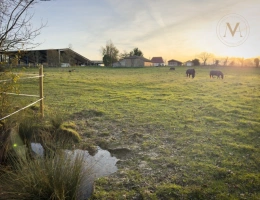 Vignette - Équestre - Propriete équestre avec 20ha d’un seul tenant proche de VILLEREAL (47)