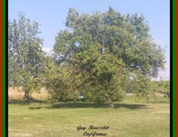 Vignette - Prestige - " PROPOSITION MODULAIRE 3"        Propriété   GLOBALE   à vendre 9 pièces + Ateliers +Hangars + 3 Terrains attenants bâtissables  COURCELLES LES SEMUR (21)