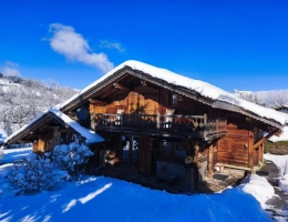 Vignette - Prestigious - Chalet en bois