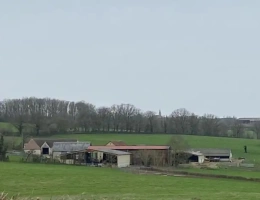 Vignette - Agricultural - Livestock farm of 225 hectares including 79 hectares owned in the Cher