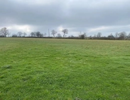 Vignette - Agricultural - Livestock farm of 104 hectares located in Cher (18)