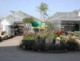 Vignette - Agricole - À vendre Allier exploitation horticole