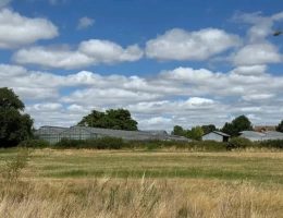 Vignette - Agricole - À vendre Allier exploitation horticole