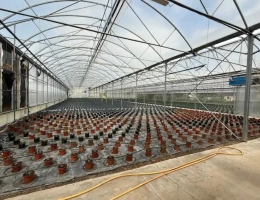 Vignette - Agricole - À vendre Allier exploitation horticole