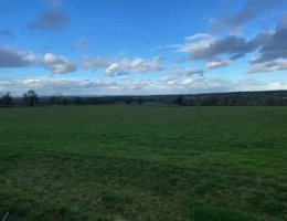 Vignette - Agricultural - For sale Allier (03) Farm of 190 ha grouped mainly for cattle and meat breeding