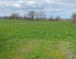 Vignette - Agricultural - For sale center France farm of 244 ha processing cheese and beef cattle