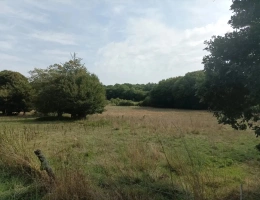 Vignette - Agricultural - ORGANIC MICRO FARM 1.5 hours south of Paris