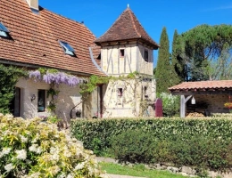 Vignette - Tourist - House