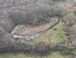 Vignette - Foncière - Prairie naturelle dans l'INDRE