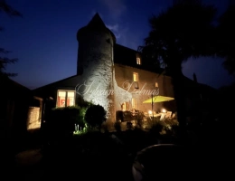 Vignette - Prestigious - Propriete à vendre 6 pièces proche de CORMERY (37)