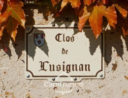 Vignette - Prestige - Propriete à vendre 12 pièces TROO (41)  -  terrain de 11 473 m²  -