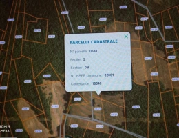 Vignette - Foncière - Terrain boisé – forêt