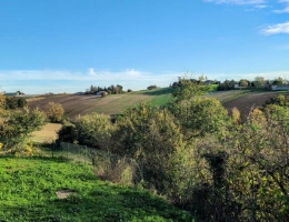 Vignette - Tourist - Property