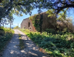 Vignette - Agricole - Corps de ferme