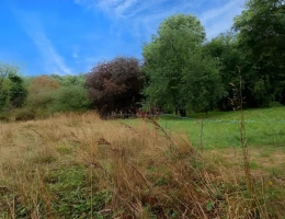 Vignette - Foncière - Terrain agricole