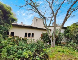 Vignette - Prestigious - Character property